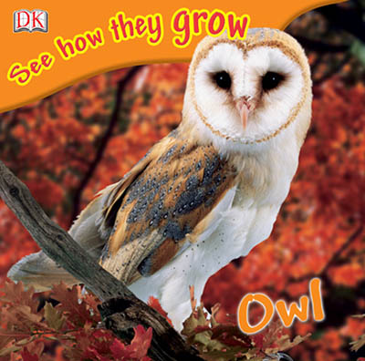 DK-See How They Grow Сɳϵл汾12